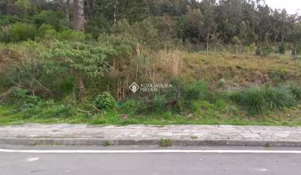 Terreno à venda na Rua Luiz Covolan, 4536, Santa Catarina, Caxias do Sul, 362 m2 por R$ 200.000