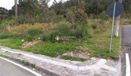 Terreno à venda na Rua Luiz Covolan, 4548, Santa Catarina, Caxias do Sul, 320 m2 por R$ 200.000