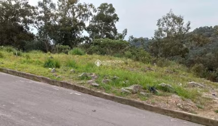 Terreno à venda na Rua Silviro Cassina, 109, Santa Catarina, Caxias do Sul, 314 m2 por R$ 150.000