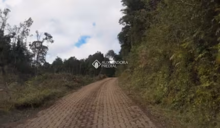 Terreno à venda na Estrada BR 116, 99, Pedras Brancas, São Marcos, 10330 m2 por R$ 254.400