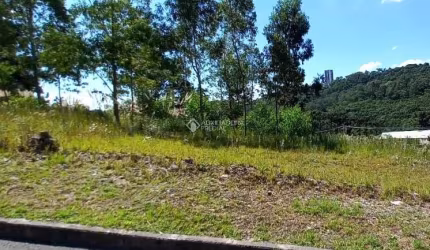 Terreno à venda na Rua Silviro Cassina, 05, Santa Catarina, Caxias do Sul, 301 m2 por R$ 150.000