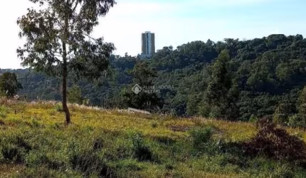 Terreno à venda na Rua Francisca de Steffani Doncato, 18, Santa Catarina, Caxias do Sul, 302 m2 por R$ 150.000