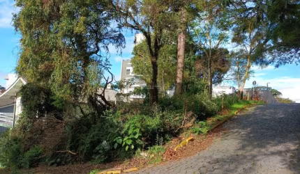 Terreno à venda na Rua Adalberon Cruz, 999, Bela Vista, Caxias do Sul, 360 m2 por R$ 300.000