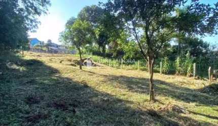 Terreno à venda na Rua Travessão Solferino, 41, Cruzeiro, Caxias do Sul, 999 m2 por R$ 680.000