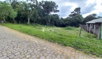 Terreno à venda na Rua Angelo Frare, 217, São Luiz, Caxias do Sul, 558 m2 por R$ 350.000