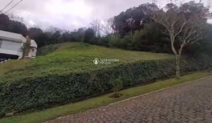 Terreno em condomínio fechado à venda na Primavera, 999, Linha 40, Caxias do Sul, 1481 m2 por R$ 650.000