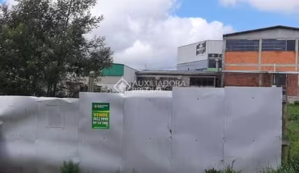 Terreno à venda na Rua Nayr Aurora Carnezella Pezzi, 999, Charqueadas, Caxias do Sul, 542 m2 por R$ 550.000