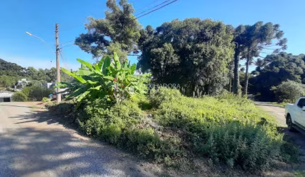 Terreno à venda na Rua Jacinto Basso, 999, Ana Rech, Caxias do Sul, 696 m2 por R$ 400.000