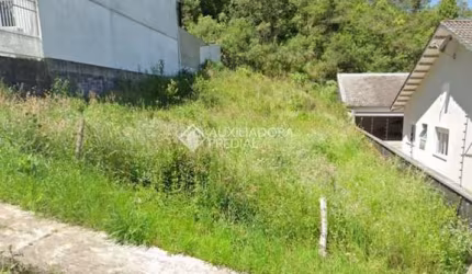 Terreno à venda na Rua Ana Vizentin Ferrigo, 96, Nossa Senhora da Saúde, Caxias do Sul, 360 m2 por R$ 270.000