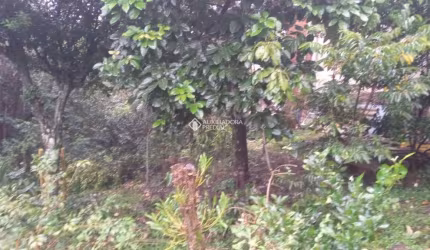 Terreno à venda na Tristão Oliveira, 663, Floresta, Gramado, 360 m2 por R$ 2.150.000