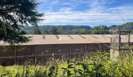 Terreno comercial à venda na JOAO CARLOS CAMERINI, 888, Carazal, Gramado, 1800 m2 por R$ 11.900.000