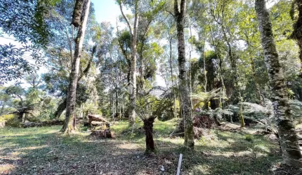 Terreno em condomínio fechado à venda na Rua Prefeito Waldemar Frederico Weber, 10, Mato Queimado, Gramado, 1061 m2 por R$ 1.400.000