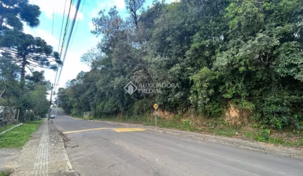 Terreno à venda na Godofredo Raymundo, 01, Palace Hotel, Canela, 453 m2 por R$ 330.000