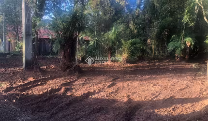 Terreno à venda na Dos Pinheiros, Alpes Verdes, Canela, 688 m2 por R$ 425.000