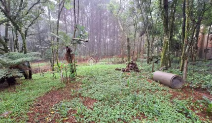 Terreno à venda na Rua João Leopoldo Lied, 1176, Planalto, Gramado, 454 m2 por R$ 495.000