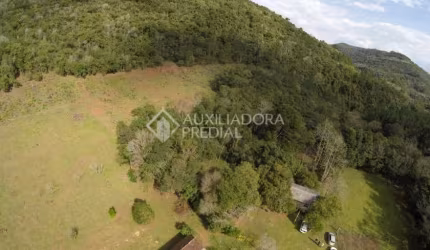Fazenda à venda na Estrada Linha Bonita, 3031, Centro, Gramado, 223400 m2 por R$ 5.560.000