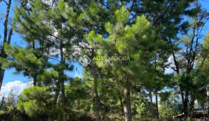 Terreno em condomínio fechado à venda na Quaresma, 9, Carniel, Gramado, 432 m2 por R$ 600.000