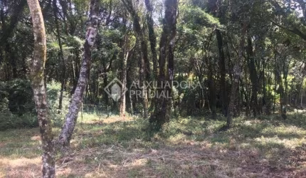 Terreno à venda na Rua Severino Inocente Zini, 20, Centro, Canela, 1019 m2 por R$ 489.000