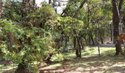 Terreno em condomínio fechado à venda na QUADRA F  LOTE 2, 2, Centro, Canela, 544 m2 por R$ 1.500.000