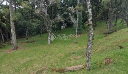 Terreno em condomínio fechado à venda na QUADRA C  LOTE 6, 6, Centro, Canela, 595 m2 por R$ 1.400.000