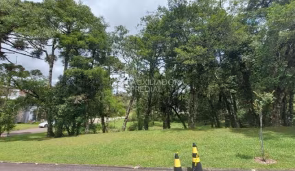 Terreno em condomínio fechado à venda na QUADRA D  LOTE 11, 11, Centro, Canela, 707 m2 por R$ 1.800.000