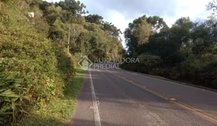 Terreno em condomínio fechado à venda na JOAO BALDASSO, 10000, Centro, Canela, 10000 m2 por R$ 7.500.000