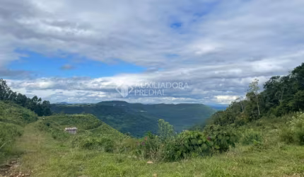 Terreno à venda na LINHA BELVEDERE (ESTRADA SERRA GRANDE), 1, Várzea Grande, Gramado, 52000 m2 por R$ 3.500.000