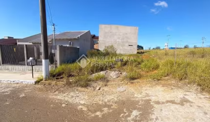 Terreno em condomínio fechado à venda na Rua Franque Andrei Beck Ribas, 100, Jardim dos Lagos, Guaíba, 200 m2 por R$ 117.000