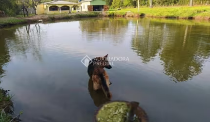Fazenda à venda na Estrada Passo do Morrinho, 4730, Fiuza, Viamão, 260 m2 por R$ 370.000