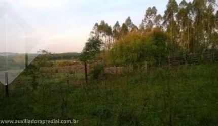 Fazenda à venda na BR-386, 2, Vendinha, Triunfo, 92925 m2 por R$ 574.468