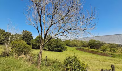 Terreno à venda na Santa Rita Ao Caju, 100, Floresta, Nova Santa Rita, 33000 m2 por R$ 3.000.000