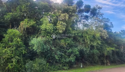 Terreno em condomínio fechado à venda na Vale Do Quilombo, 01, Reserva da Serra, Canela, 802 m2 por R$ 1.500.000
