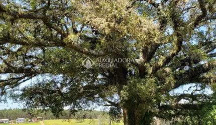 Fazenda à venda na Distrito Vendinha, 1, Zona Rural, Triunfo, 330 m2 por R$ 679.999