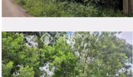 Terreno comercial à venda na Rua Brasiliano de Morais, 04, Tijuca, Alvorada, 3354 m2 por R$ 890.000