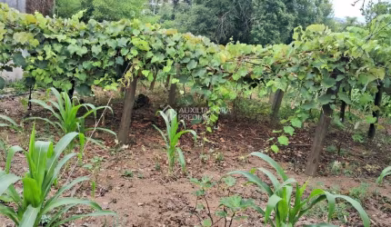 Fazenda à venda na Piauí, 95, Cecília, Viamão, 2000 m2 por R$ 268.000