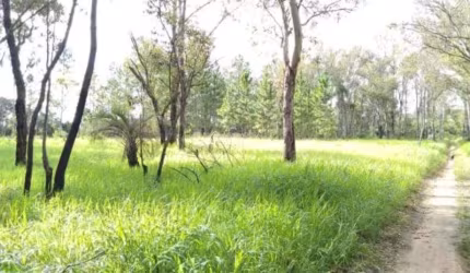 Terreno à venda na Rua João Antônio Lopes, 4000, Lomba do Pinheiro, Porto Alegre, 3538 m2 por R$ 4.499.000