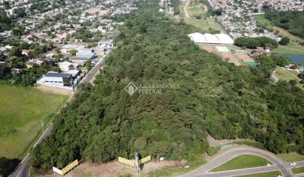 Terreno comercial à venda na RS - 239, 10, Imigrante, Campo Bom, 32637 m2 por R$ 3.400.000