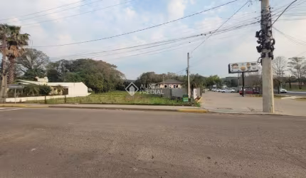 Terreno comercial à venda na Alberto Rubenich, 7710, Travessão, Dois Irmãos, 2500 m2 por R$ 902.500