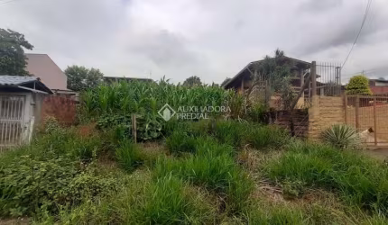 Terreno à venda na Rua Pirenópolis, 440, Boa Saúde, Novo Hamburgo, 350 m2 por R$ 220.000
