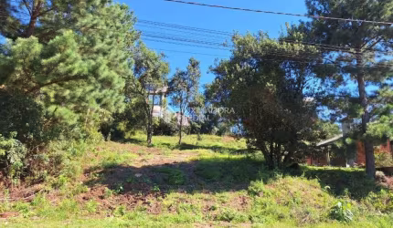 Terreno à venda na Do Caracol, 711, Mato Queimado, Gramado, 626 m2 por R$ 640.000