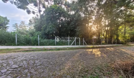 Terreno à venda na João Henning, 995, Santo André, São Leopoldo, 1306 m2 por R$ 395.000