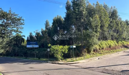 Terreno à venda na Rua Bento Manoel, 526, Operário, Novo Hamburgo, 7119 m2 por R$ 4.500.000