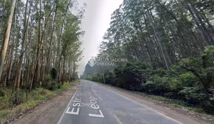Terreno comercial à venda na Leopoldo Petry, 455, Santo Afonso, Novo Hamburgo, 210000 m2 por R$ 12.000.000
