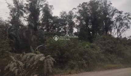 Fazenda à venda na Do Comércio, 00, Barra Do Ouro, Maquiné, 22000 m2 por R$ 700.000