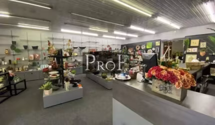 Prédio comercial Santa Paula São Caetano
