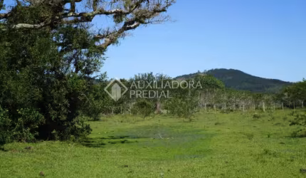 Fazenda à venda na Rua Araça do Varejão, 3101, Lami, Porto Alegre, 100000 m2 por R$ 1.135.000