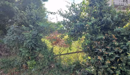 Terreno à venda na Rua Doutor Raul Moreira, 792, Cristal, Porto Alegre, 885 m2 por R$ 250.000