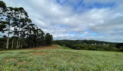 Terreno à venda na Estrada Costa Gama, 2933, Hípica, Porto Alegre, 9808 m2 por R$ 14.000.000