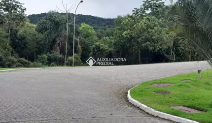 Terreno em condomínio fechado à venda na Rua Rodrigo Rampinelli Jeremias, 200, Itacorubi, Florianópolis, 533 m2 por R$ 1.292.000
