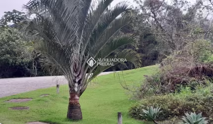 Terreno em condomínio fechado à venda na Rua Rodrigo Rampinelli Jeremias, 200, Itacorubi, Florianópolis, 473 m2 por R$ 1.281.000